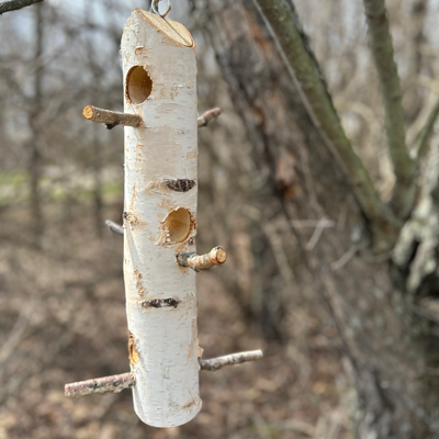 White Birch Suet Feeder with Suet Plugs