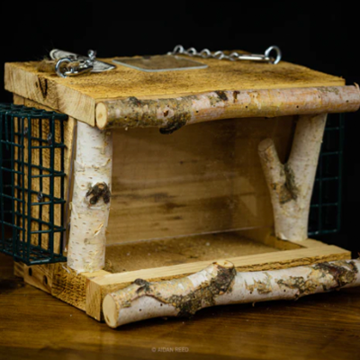 White Birch Bird Feeder & Suet Cage