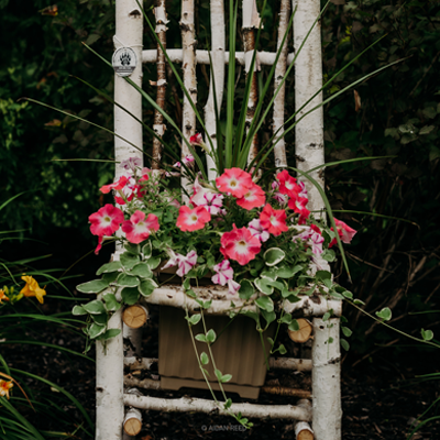 White birch Decorative Landscape Chair