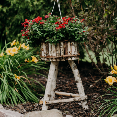 White Birch Plant Stand